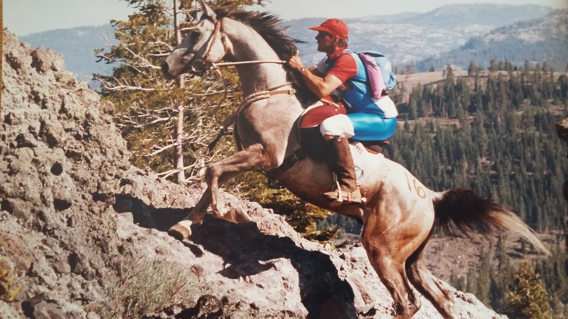 A rider and horse climbing a rock face on the Tevis Cup trail in the Sierra Nevada, 1991.
