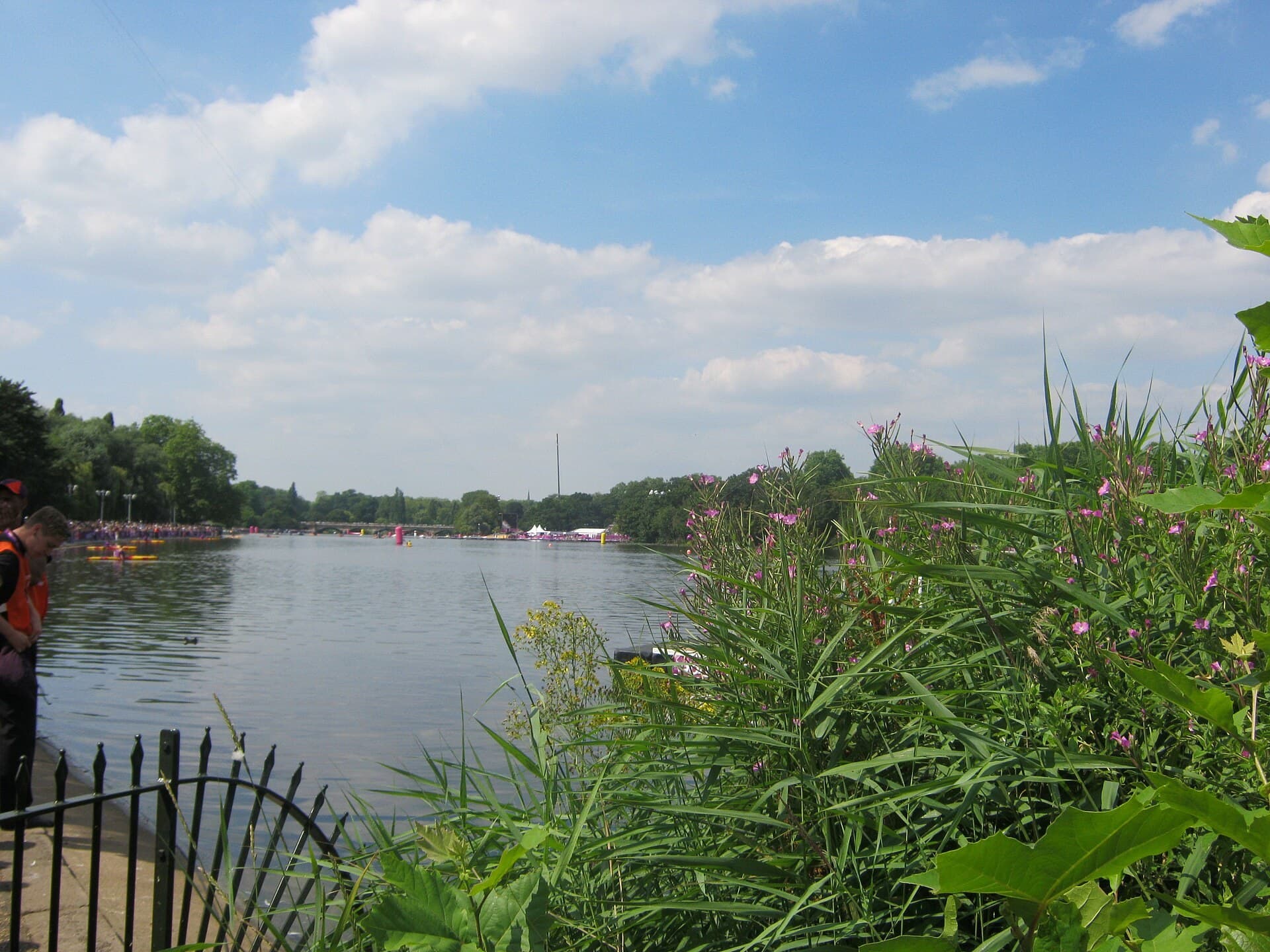 The Serpentine in Hyde Park, London, during the 2012 Olympic 10 km marathon swim.