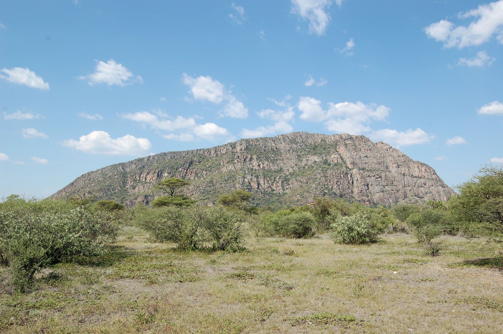 Tsodilo Hills rising over Kalahari bush, NW Botswana (near the Dobe area).