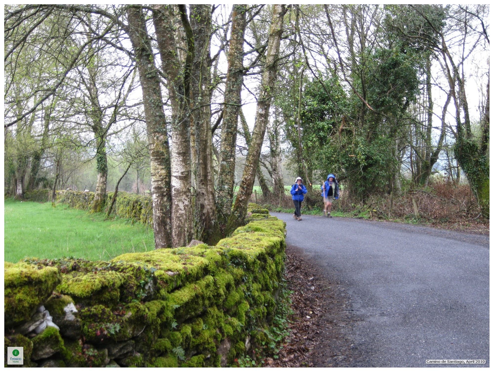 Two pilgrims walking a lane past a mossy stone wall on the Camino de Santiago.