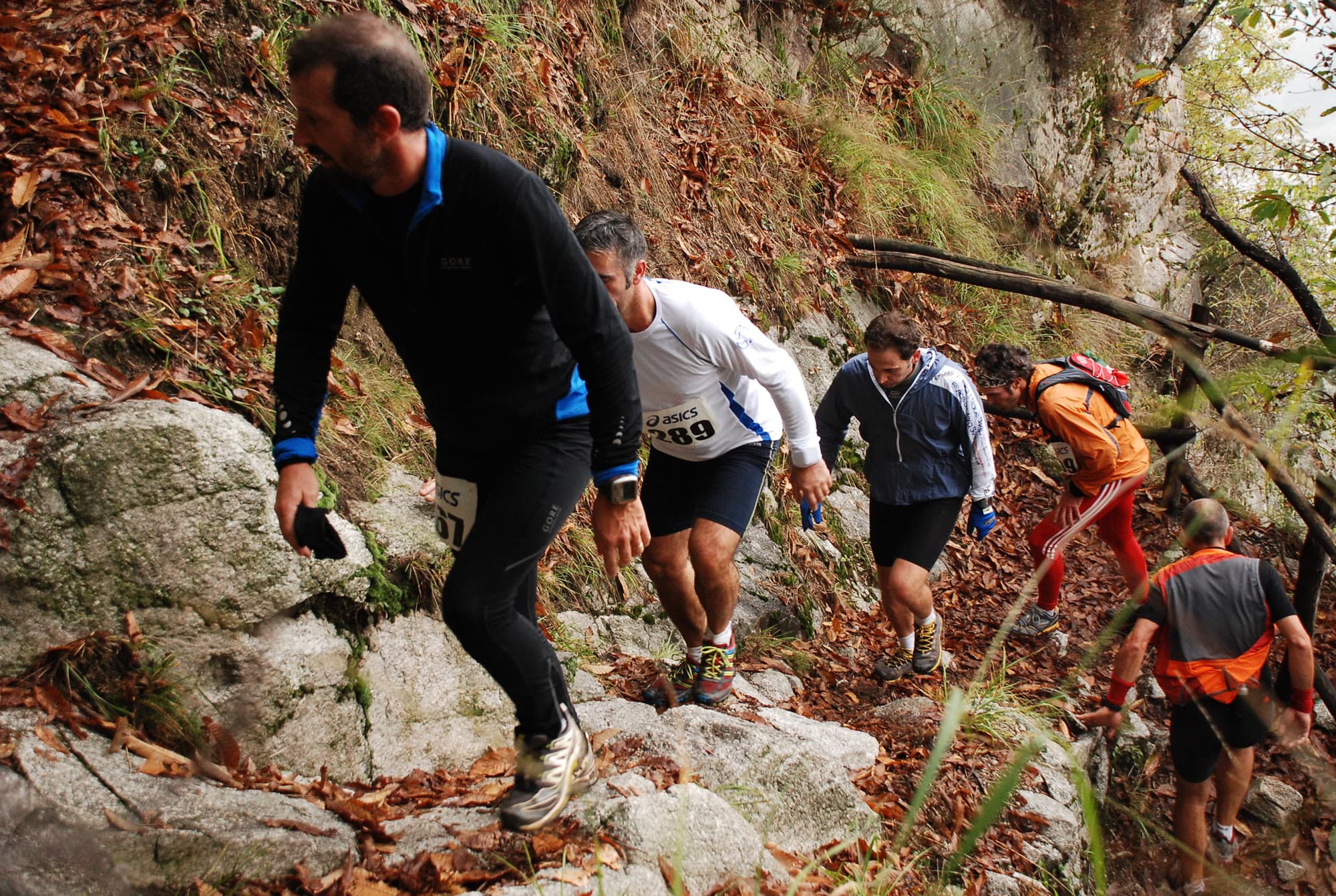 Runners in a trail race climb a steep path of rock steps through a wood strewn with autumn leaves. The leading runner, in black, steps up with his hands near his knees, and those behind him climb bent forward, picking their footing on the stones.